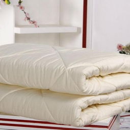 朗瑞床上用品加盟深度解析 流程、优势与市场展望